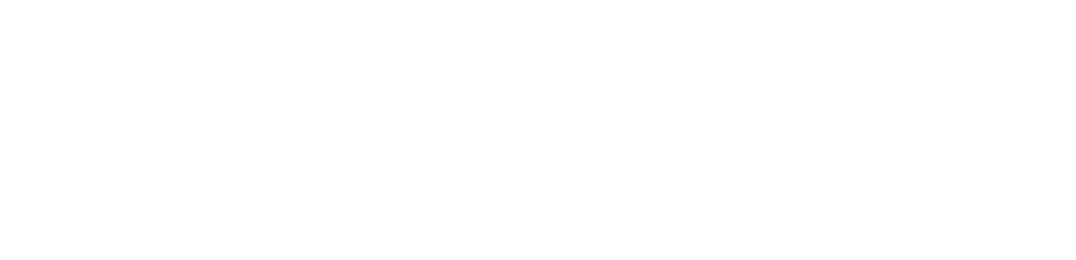 Logo-Nylcom-Blanco